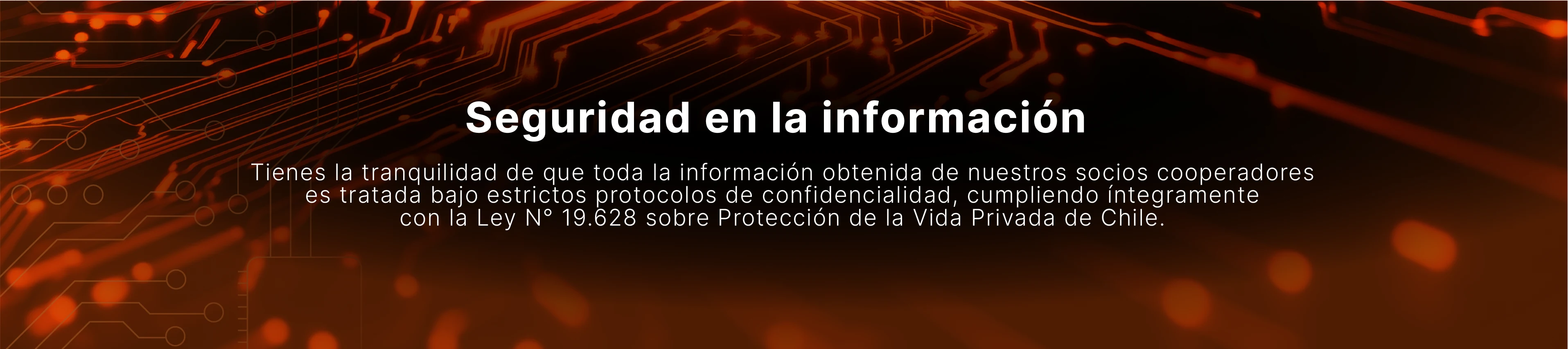 Seguridad en la información y protección de datos de socios cooperadores