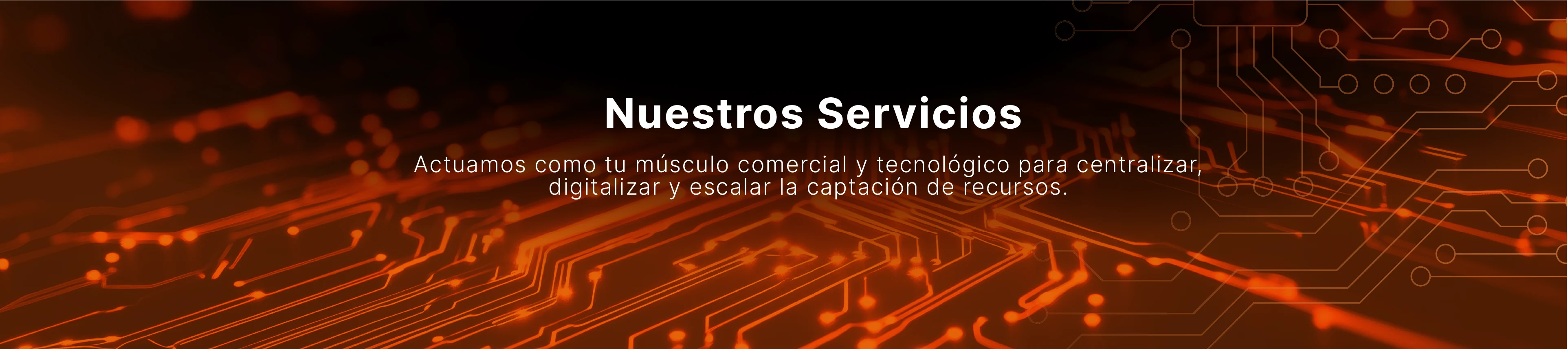 Nuestros servicios de captación y gestión de recursos